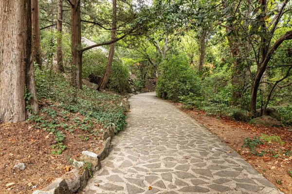 Stone Walkway Repair in Jersey City
