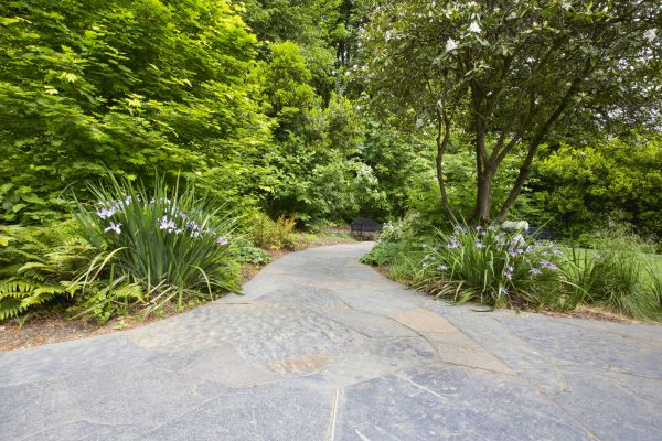 Stone Hardscape Service in Jersey City